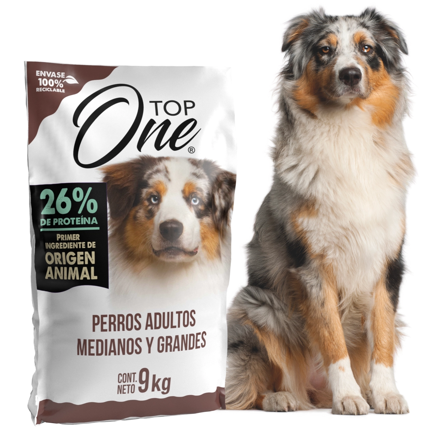 Envase más perro grande Top One